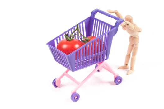 Conceptual photo with miniature shopping-cart isolated on white