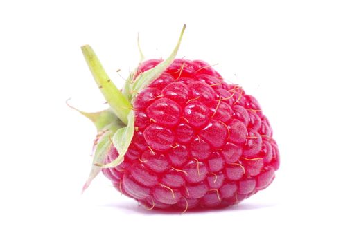 fresh raspberry closeup isolated on white background