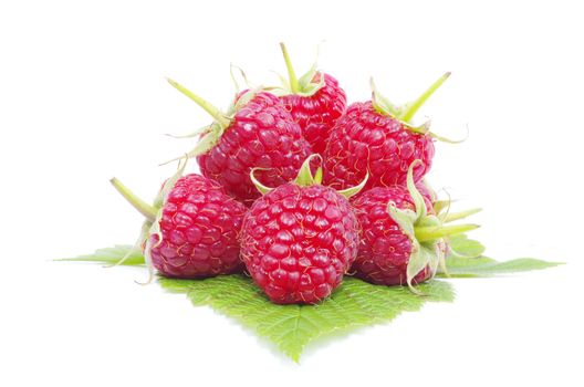 fresh raspberry closeup isolated on white background