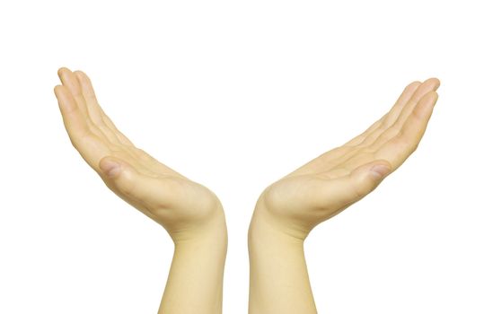 hands isolated on a white background