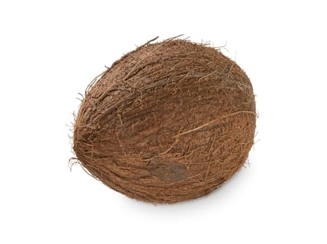 Isolated whole coconut on the white background