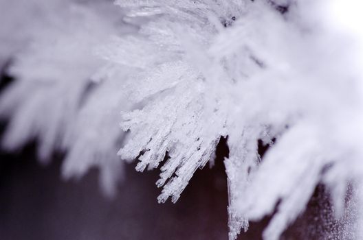 close up of ice crystals forming spiky ornaments