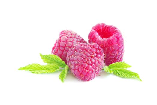 Ripe raspberry isolated on a white background