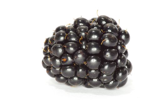 blackberry isolated on a white background