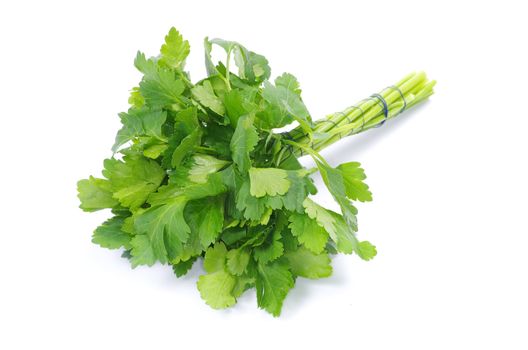 Bunch of fresh green parsley isolated on white background