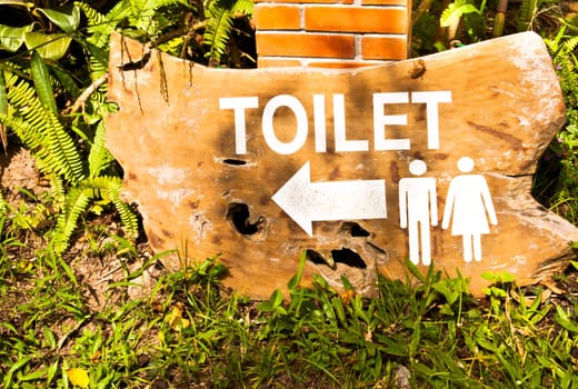 Toilet  signs both men and women in the garden.