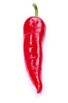 red hot chili pepper on white