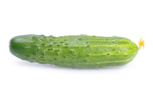 cucumbers on the white background