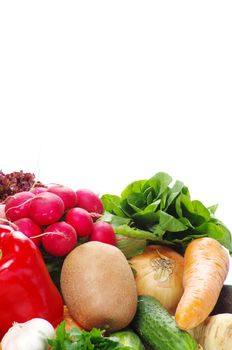 fresh vegetables on the white background