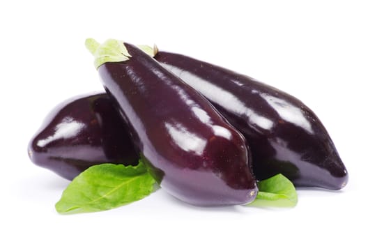 aubergine isolated on white background