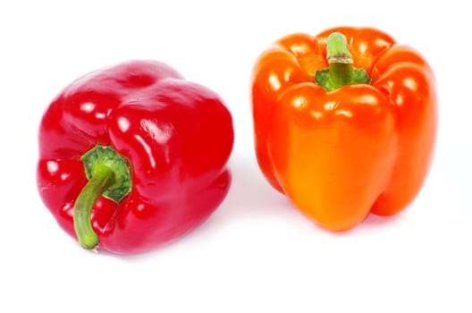 Colored  pepper isolated on a white background