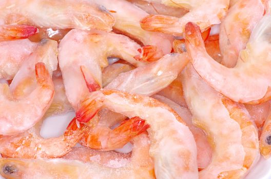 fresh shrimp background close up