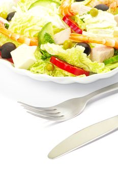 vegetable salad in plate on white