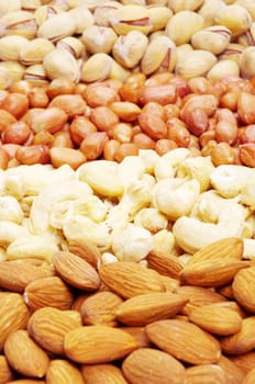 nuts collection as a background