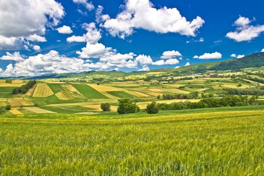 Pure green nature of Croatia under blue sky, Kalnik mountain, Croatia