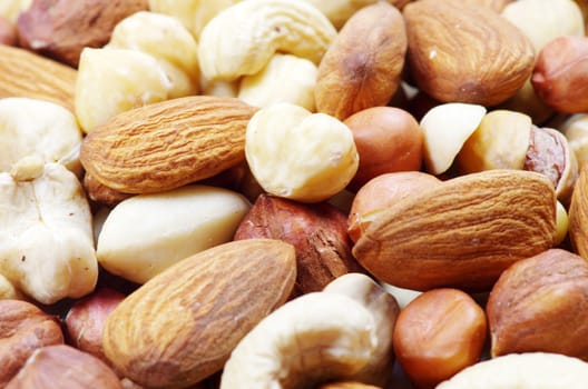 mixed nuts on a background