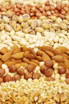 various nuts on a background