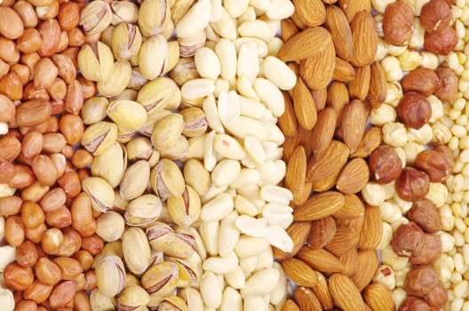 various nuts on a background