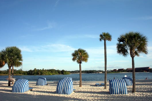 A beach and a lake with palm trees.