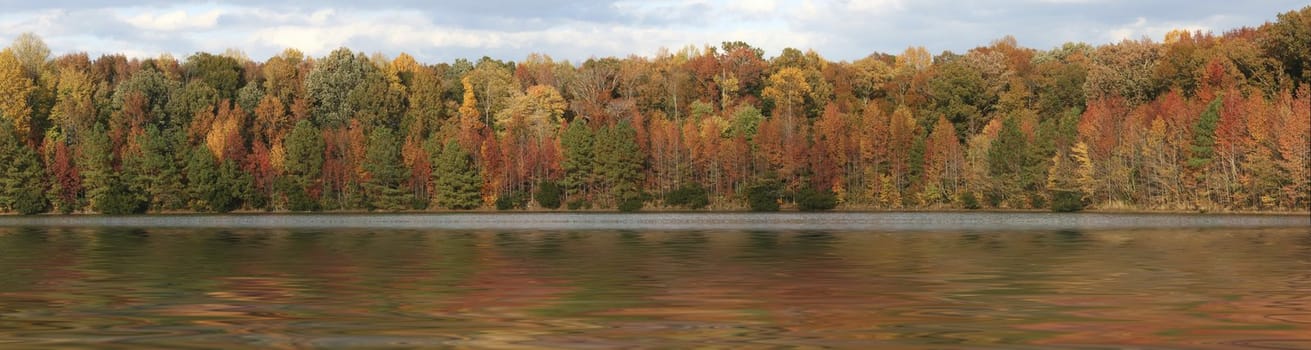 a panorama picture of fall trees over water