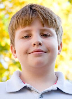 The serious little boy against yellow leaves