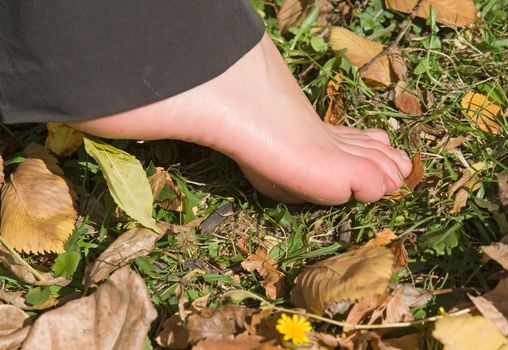 Autumn. Women's feet on the yellow fallen leaves.