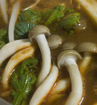 Close-up of Mushrooms and spring onions in Kimchi nabe shabu-shabu  