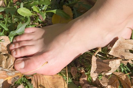 Autumn. Women's feet on the yellow fallen leaves.