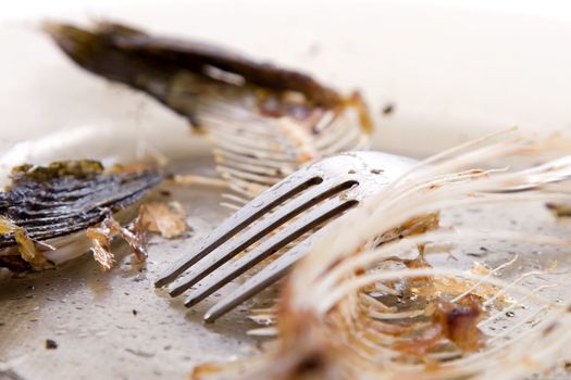 fishbones on  plate