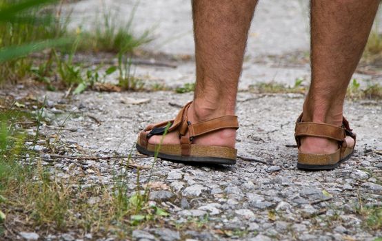 male foot in sandals