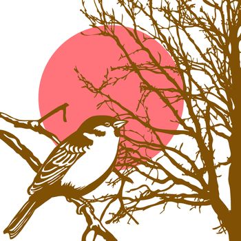 silhouette of the bird on branch