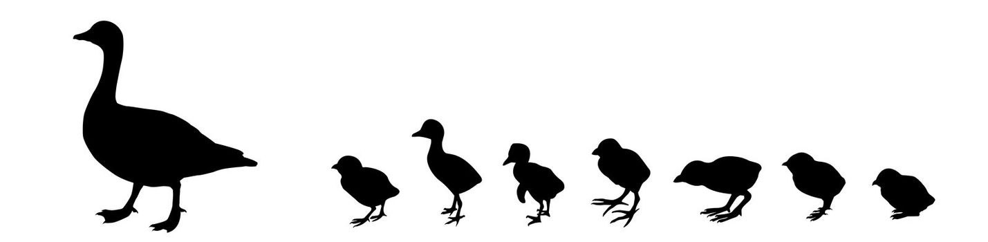 vector silhouette duck with nestling on white background