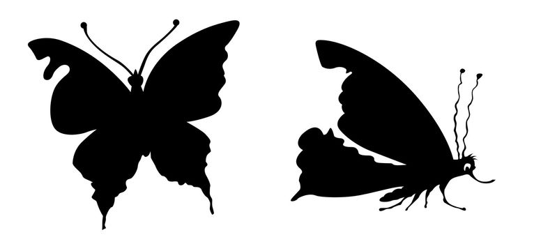 vector silhouette butterfly on white background