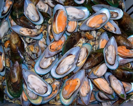 sea mussels open  in large numbers.shell pearl color