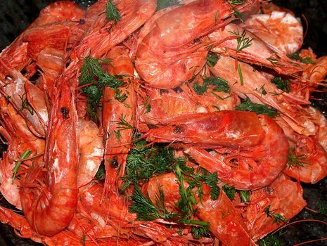 big red Mediterranean shrimps topped with fresh herbs