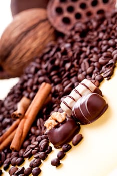 collection of different chocolate pralines truffels on golden brown background macro