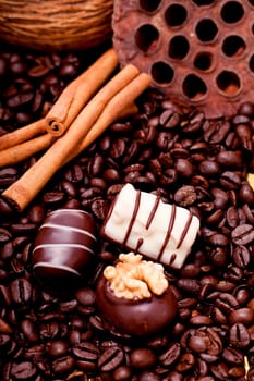 collection of different chocolate pralines truffels on golden brown background macro