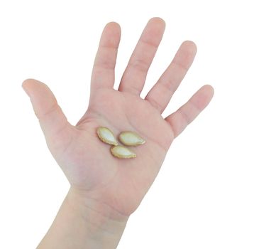 Hand of a child  holding  pumpkin seeds isolated on white background