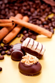 collection of different chocolate pralines truffels on golden brown background macro