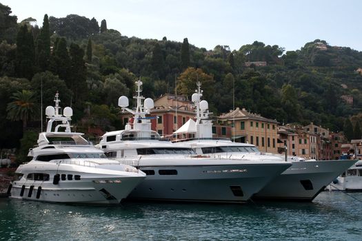 Luxury yachts in Portofino harbor , Italy