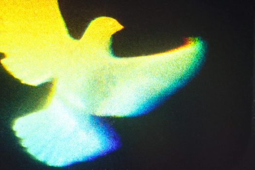 The Dove hologram found on all VISA cards is a security feature which was introduced in 1984