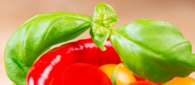 basil leafs with cherry tomatoes and chili pepper close up