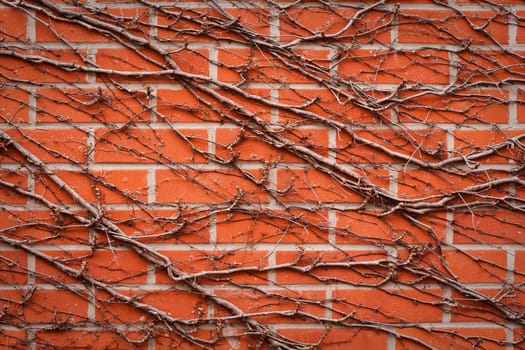 brick wall background