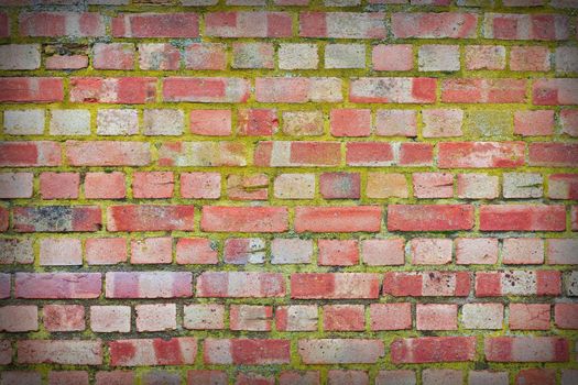 brick wall background