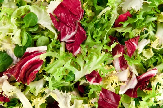 salad leaves as background