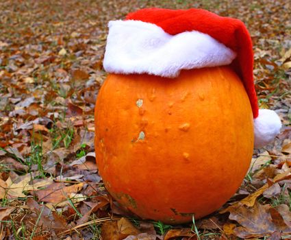 A seasonal pumpkin with a santa hat as a concept of the transition between holidays. 
