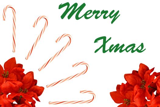 A seasonal Christmas Holiday decoration of candy canes and poinsettia plants isolated on white with room for your text.