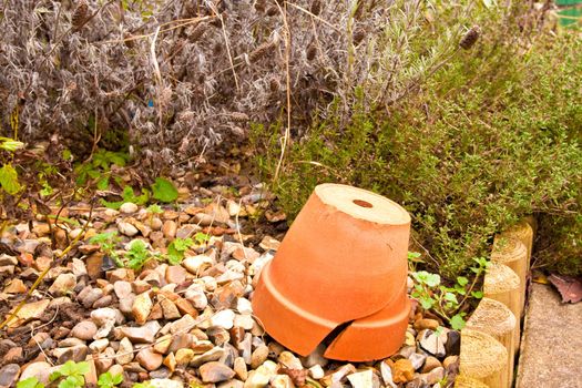 upturned terrcotta pot in a herb garden