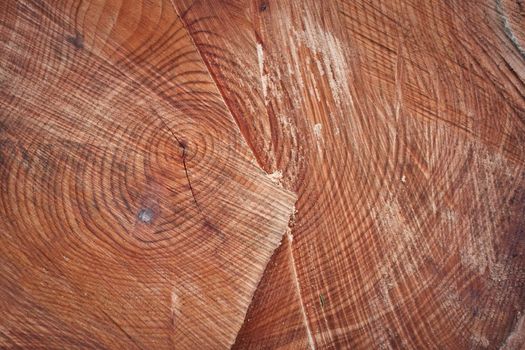 wood background