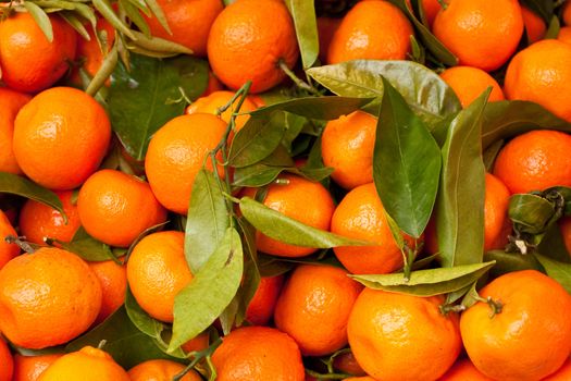 fresh satsumas as background